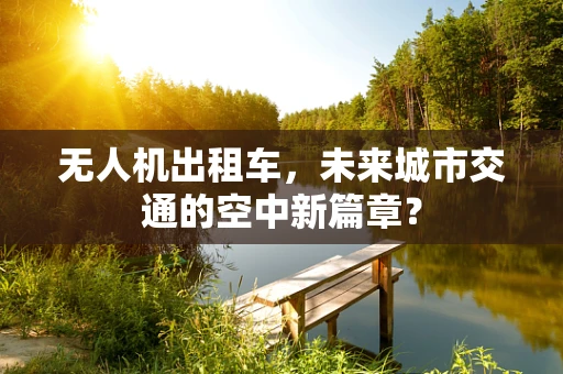 无人机出租车，未来城市交通的空中新篇章？