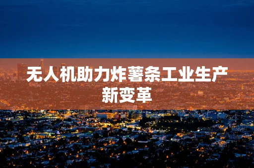 无人机助力炸薯条工业生产新变革