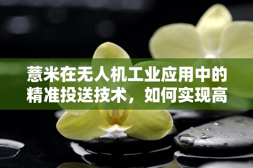薏米在无人机工业应用中的精准投送技术，如何实现高效与精准的双重挑战？