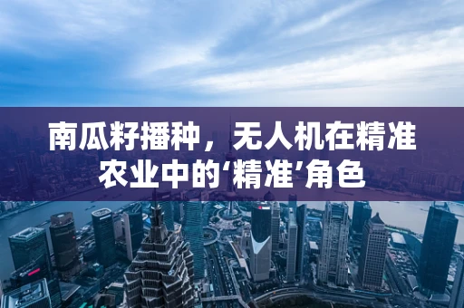 南瓜籽播种，无人机在精准农业中的‘精准’角色