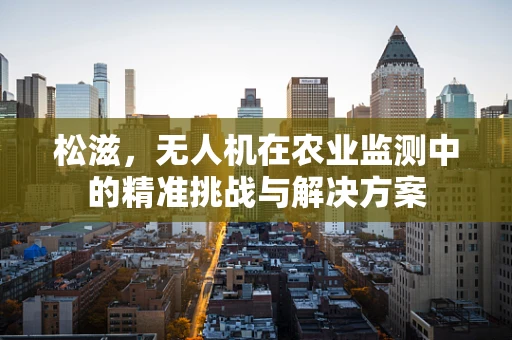 松滋，无人机在农业监测中的精准挑战与解决方案