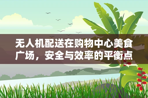 无人机配送在购物中心美食广场，安全与效率的平衡点何在？