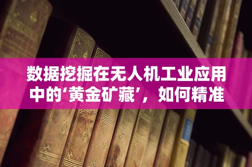 数据挖掘在无人机工业应用中的‘黄金矿藏’，如何精准提取飞行数据价值？
