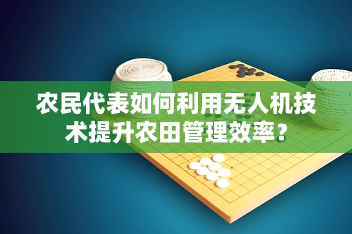 农民代表如何利用无人机技术提升农田管理效率？