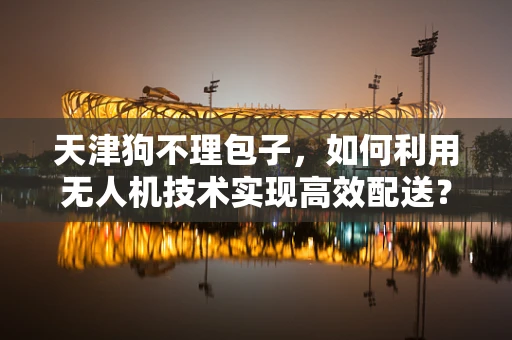 天津狗不理包子，如何利用无人机技术实现高效配送？