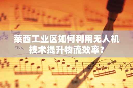 莱西工业区如何利用无人机技术提升物流效率？