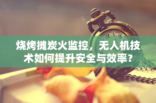 烧烤摊炭火监控，无人机技术如何提升安全与效率？