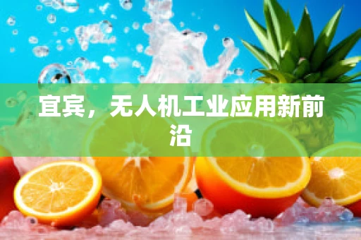 宜宾，无人机工业应用新前沿