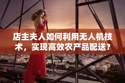 店主夫人如何利用无人机技术，实现高效农产品配送？