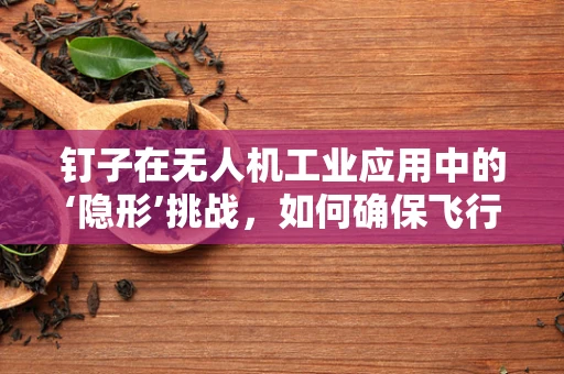 钉子在无人机工业应用中的‘隐形’挑战，如何确保飞行安全？