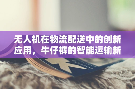 无人机在物流配送中的创新应用，牛仔裤的智能运输新思路？