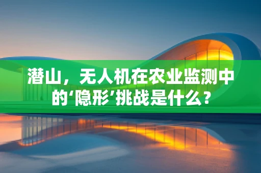 潜山，无人机在农业监测中的‘隐形’挑战是什么？
