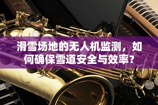 滑雪场地的无人机监测，如何确保雪道安全与效率？