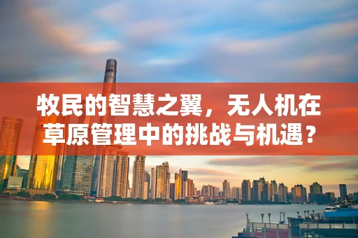 牧民的智慧之翼，无人机在草原管理中的挑战与机遇？