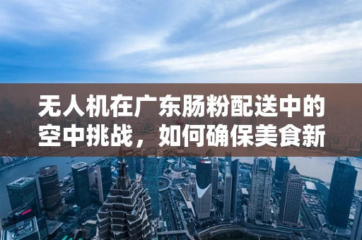 无人机在广东肠粉配送中的空中挑战，如何确保美食新鲜与安全？