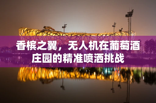 香槟之翼，无人机在葡萄酒庄园的精准喷洒挑战