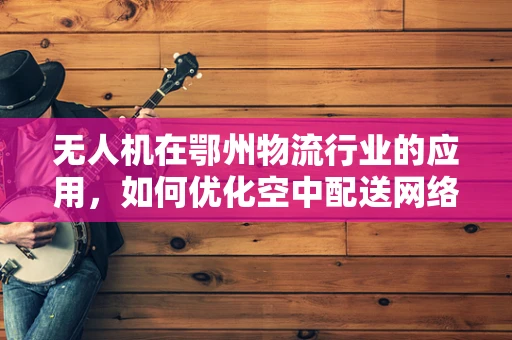 无人机在鄂州物流行业的应用，如何优化空中配送网络？