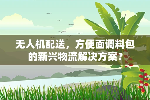 无人机配送，方便面调料包的新兴物流解决方案？