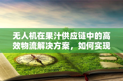 无人机在果汁供应链中的高效物流解决方案，如何实现精准配送与冷链监控？