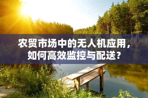 农贸市场中的无人机应用，如何高效监控与配送？