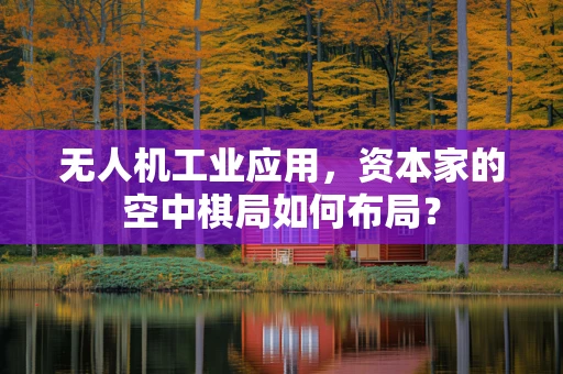 无人机工业应用，资本家的空中棋局如何布局？