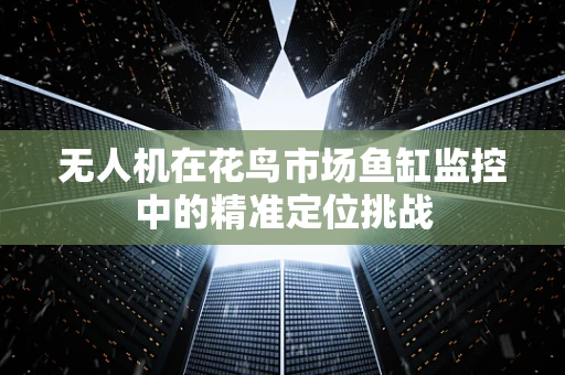 无人机在花鸟市场鱼缸监控中的精准定位挑战
