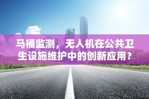 马桶监测，无人机在公共卫生设施维护中的创新应用？