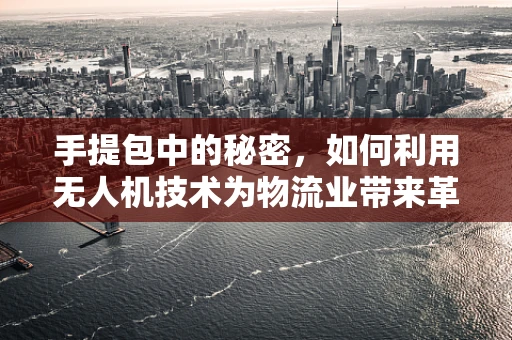 手提包中的秘密，如何利用无人机技术为物流业带来革新？