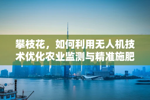 攀枝花，如何利用无人机技术优化农业监测与精准施肥？