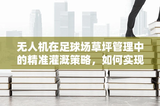 无人机在足球场草坪管理中的精准灌溉策略，如何实现高效节水与草坪质量双赢？