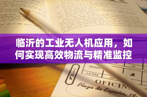 临沂的工业无人机应用，如何实现高效物流与精准监控的双重飞跃？