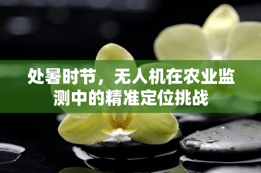 处暑时节，无人机在农业监测中的精准定位挑战
