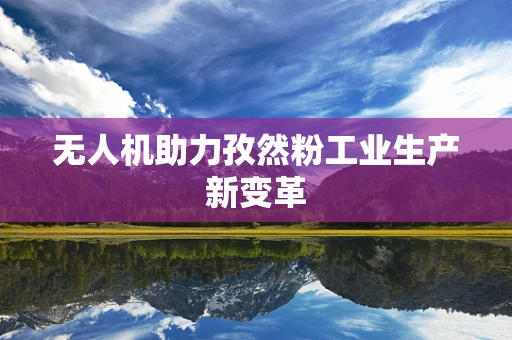 无人机助力孜然粉工业生产新变革