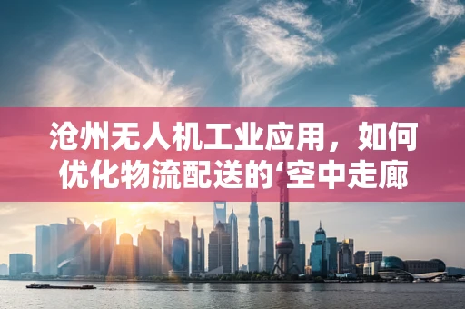 沧州无人机工业应用，如何优化物流配送的‘空中走廊’？