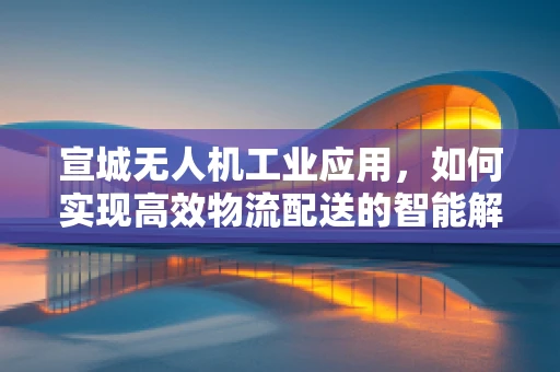 宣城无人机工业应用，如何实现高效物流配送的智能解决方案？