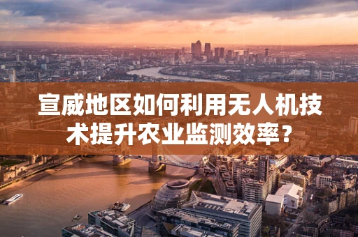 宣威地区如何利用无人机技术提升农业监测效率？