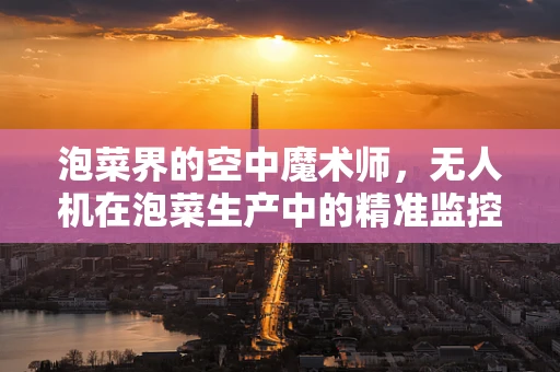泡菜界的空中魔术师，无人机在泡菜生产中的精准监控挑战