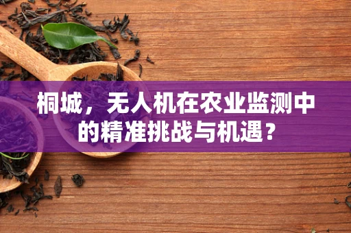 桐城，无人机在农业监测中的精准挑战与机遇？