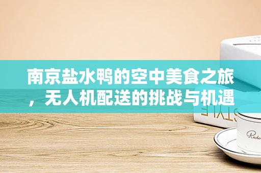 南京盐水鸭的空中美食之旅，无人机配送的挑战与机遇？