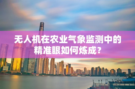 无人机在农业气象监测中的精准眼如何炼成？
