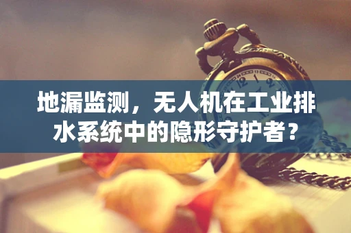 地漏监测，无人机在工业排水系统中的隐形守护者？