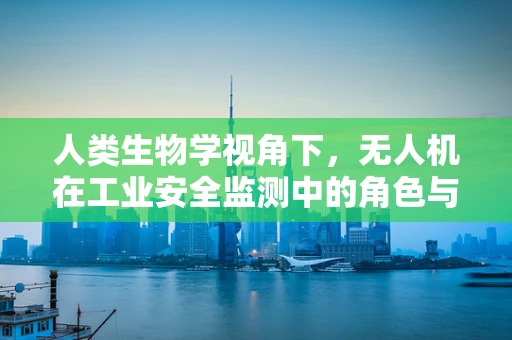 人类生物学视角下，无人机在工业安全监测中的角色与挑战