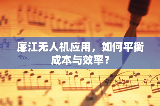 廉江无人机应用，如何平衡成本与效率？