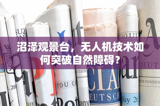 沼泽观景台，无人机技术如何突破自然障碍？