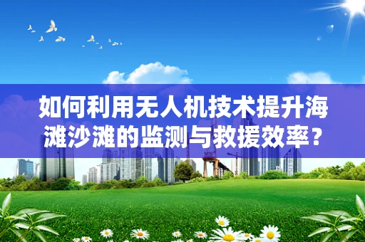 如何利用无人机技术提升海滩沙滩的监测与救援效率？