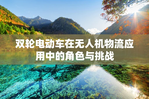 双轮电动车在无人机物流应用中的角色与挑战