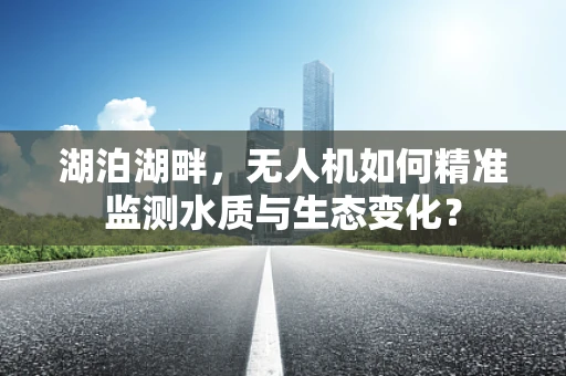 湖泊湖畔，无人机如何精准监测水质与生态变化？
