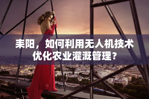 耒阳，如何利用无人机技术优化农业灌溉管理？