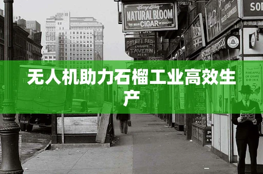 无人机助力石榴工业高效生产