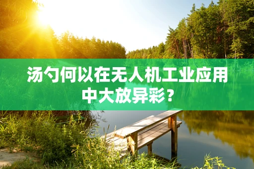 汤勺何以在无人机工业应用中大放异彩？